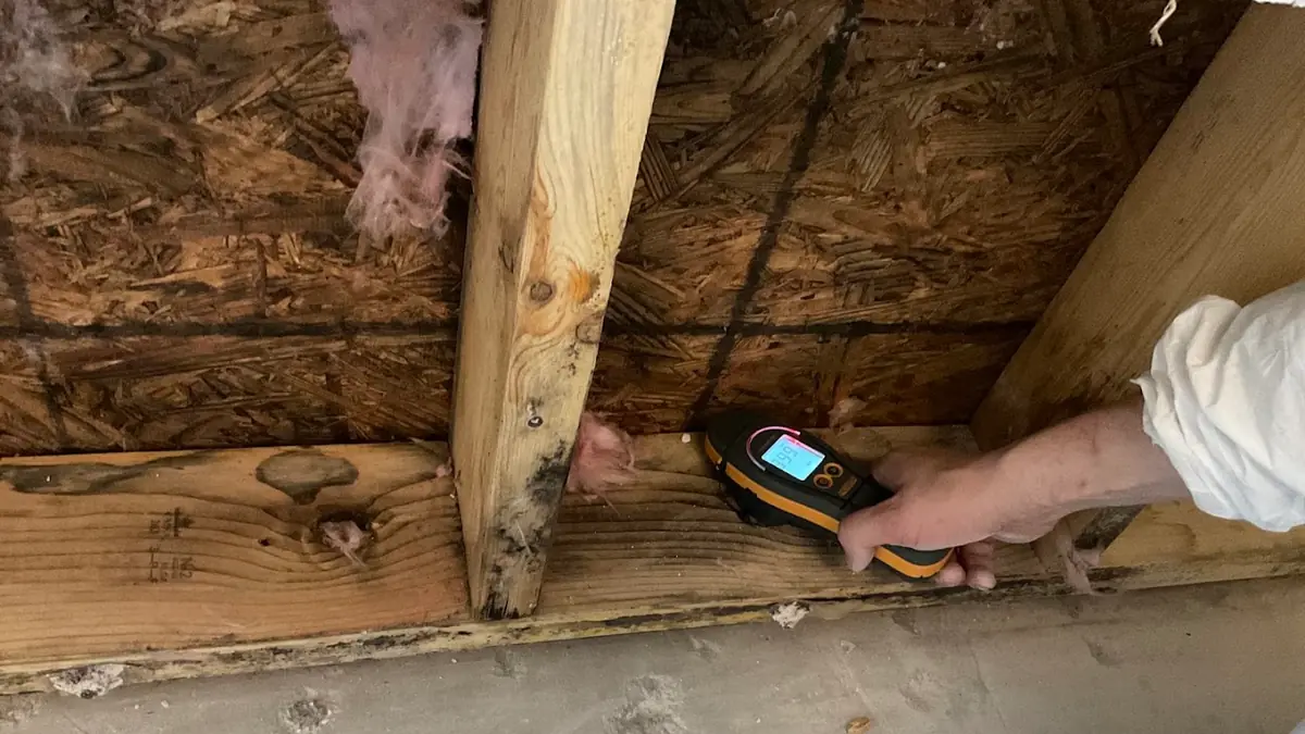 Moisture meter on a water-damaged subfloor
