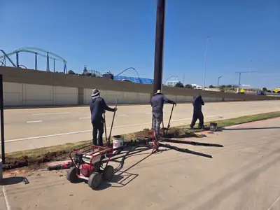 Crew working on a cleared lot