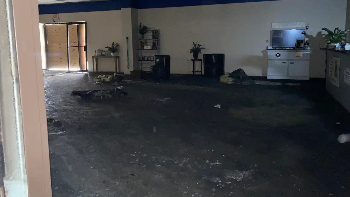 Commercial interior stripped back to the slab during remediation