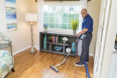 Technician cleaning a carpet