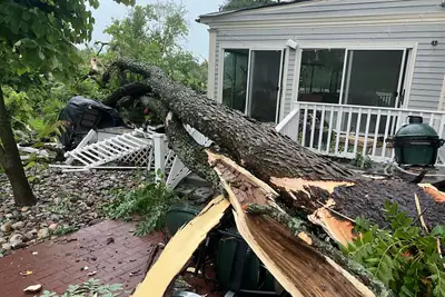 Tree fallen onto a house