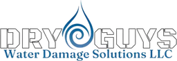 Dry Guys Water Damage Solutions logo