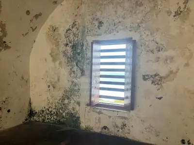 Mold staining on a wall around an air vent