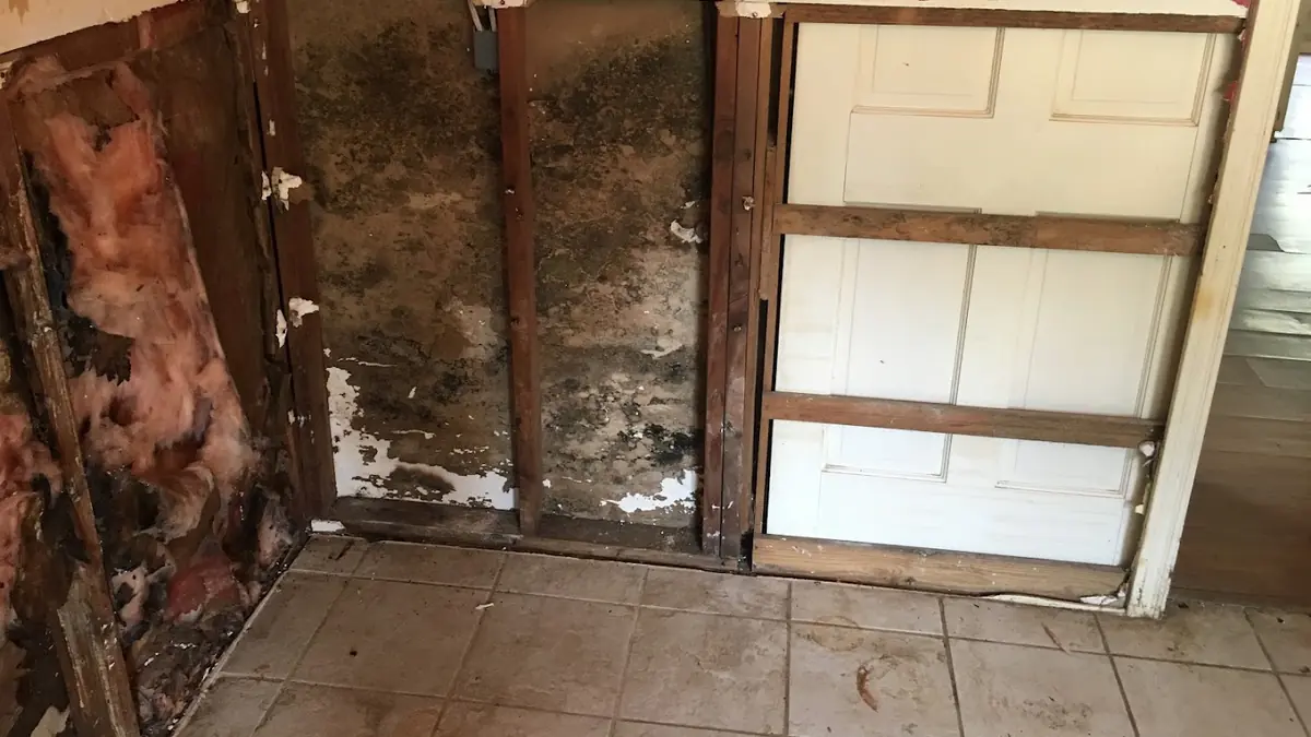 Water-damaged wall and lower cabinet with visible mold growth