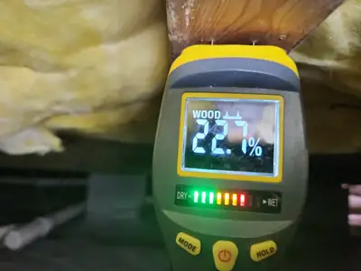Moisture meter reading during an inspection