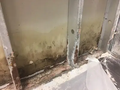 Mold on a wall beside a window