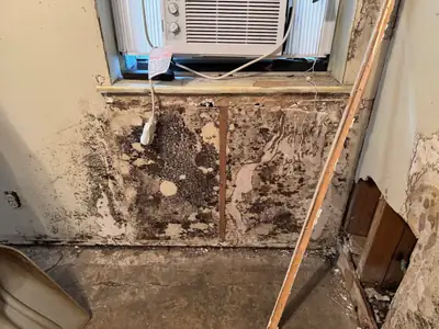 Mold-damaged wall below a window AC unit