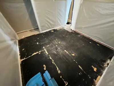 Stained subfloor inside containment