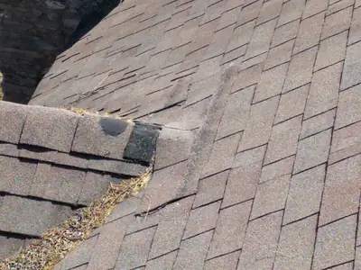 Roof shingle damage