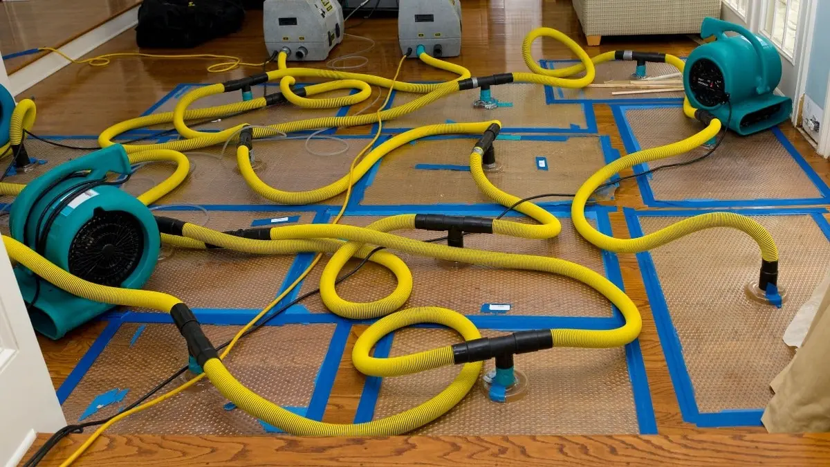 Dozens of air movers drying a commercial floor