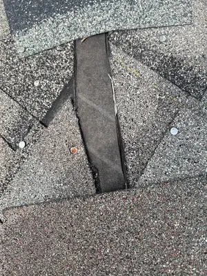 Damaged roof shingles