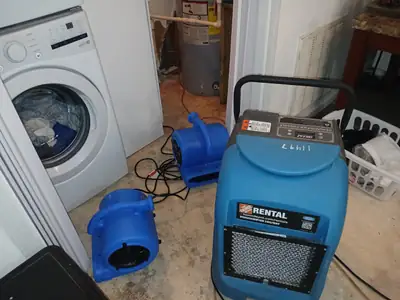 Air movers and a dehumidifier in a laundry room