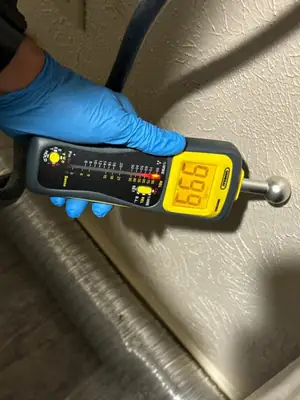 Moisture meter reading