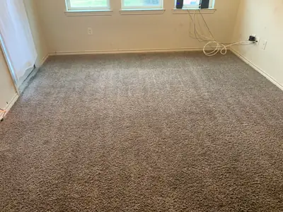 Freshly cleaned carpet