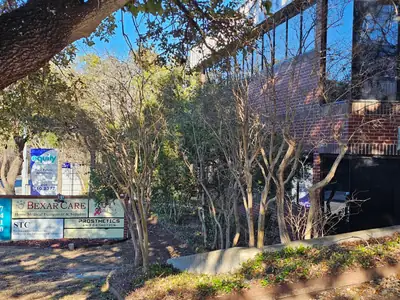 Office building set among trees