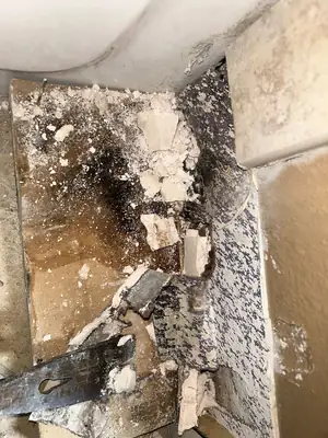 Wall cavity with mold-damaged insulation