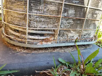 Corroded coil found during an inspection