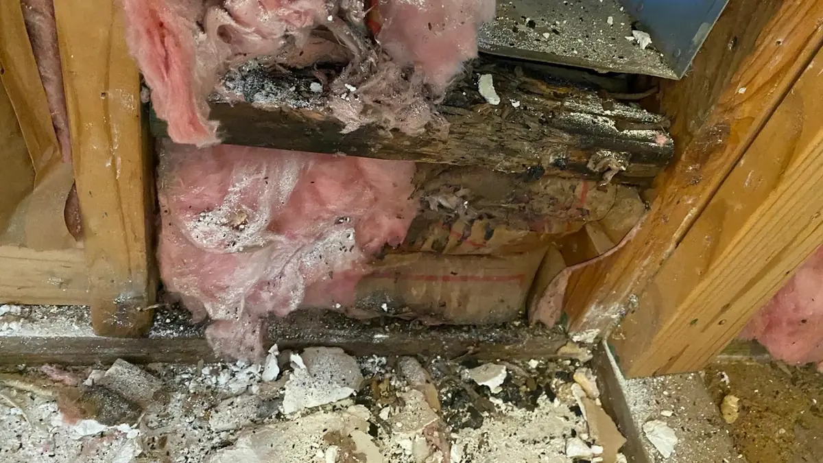 Wall cavity with mold-damaged insulation