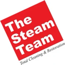 The Steam Team logo
