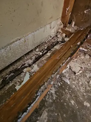 Damaged subfloor